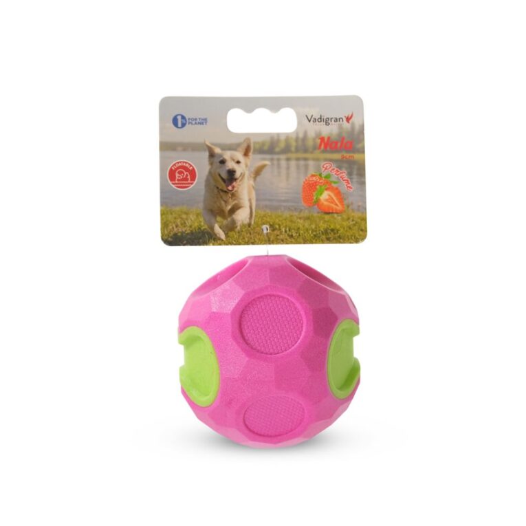 9bf10692-875c-11ef-bf37-00505697ce7a_5411468283419.VPK1