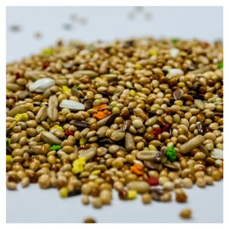 Harmony Multicolor Τροφή για Μικρούς Παπαγάλους με Μπισκότο Φρούτων 1kg Χύμα