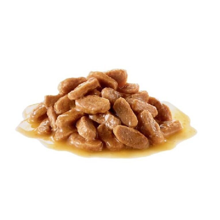 Royal Canin Shn Mini Puppy1