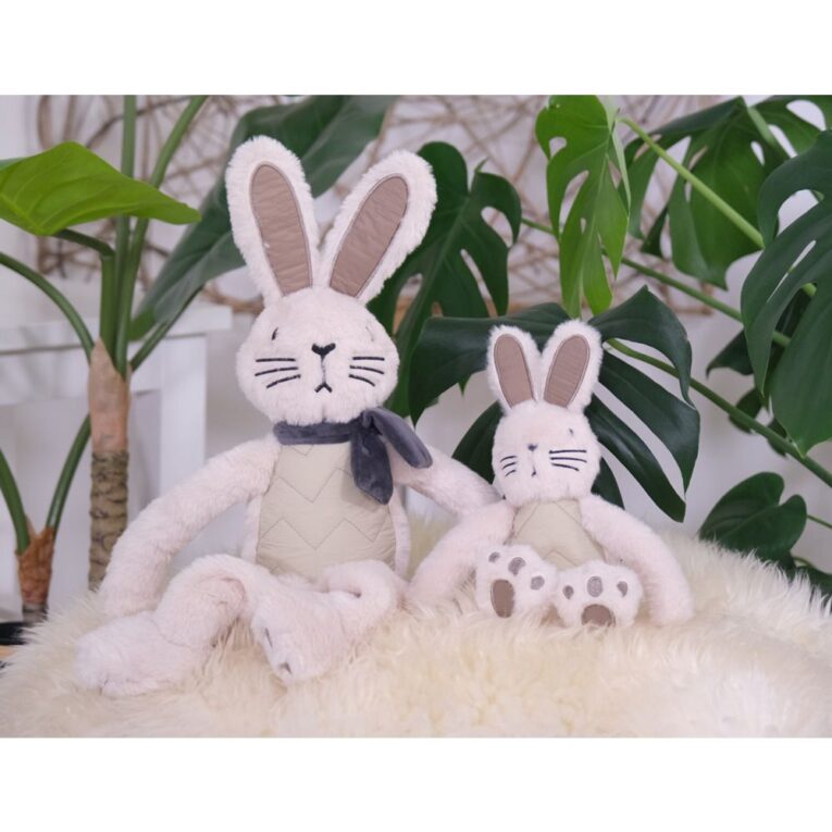 ab22fe3a-d2d5-11ef-80a4-00505697ce7a_5411468202212.SFR1