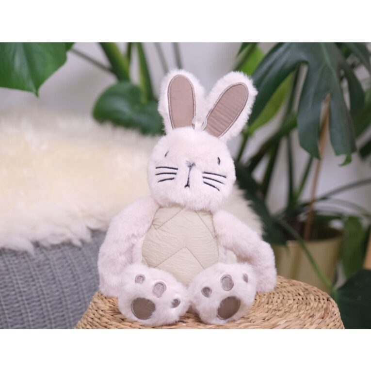 ab25865a-d2d5-11ef-8f58-00505697ce7a_5411468202212.SFR2