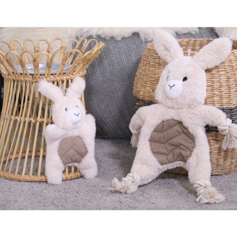 aba04854-d2d5-11ef-a22c-00505697ce7a_5411468202199.SFR6