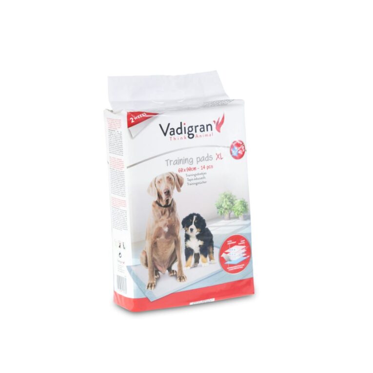 b6e93d04-73ff-11ea-be8a-00505697ce7a_5411468134360.2