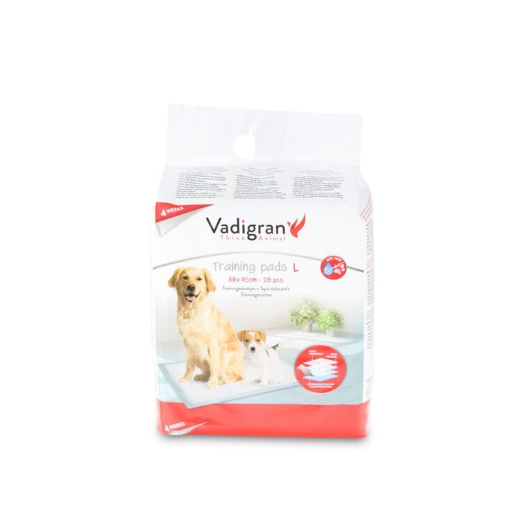 b7451bba-73ff-11ea-9ffb-00505697ce7a_5411468134353.2