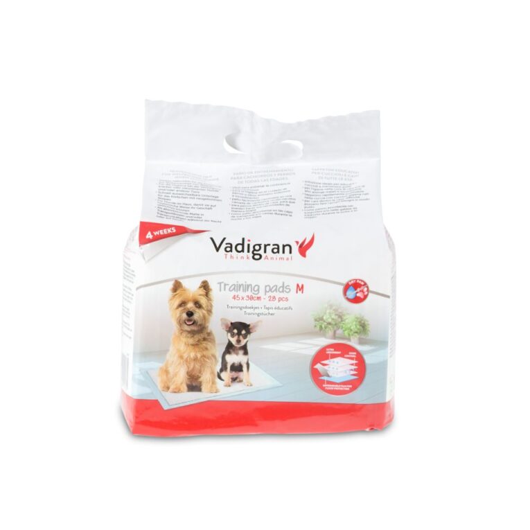 b8237b9e-73ff-11ea-88c4-00505697ce7a_5411468134339.1