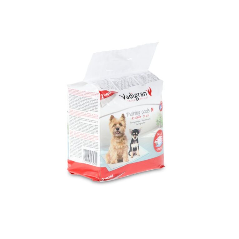 b8dd9af6-73ff-11ea-a633-00505697ce7a_5411468134322.2