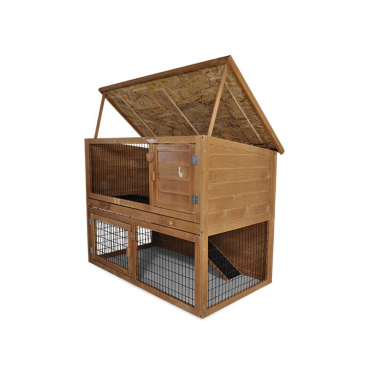 d9064ece-e93e-11ed-be9c-00505697ce7a_5411468192018.6