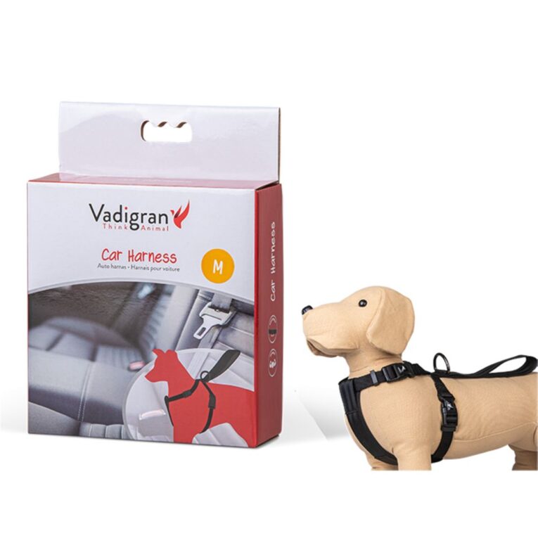 daa03036-29f8-11eb-aa60-00505697ce7a_5411468168310