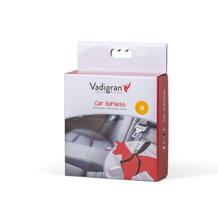 dab78d26-29f8-11eb-8462-00505697ce7a_5411468168310.vpk1