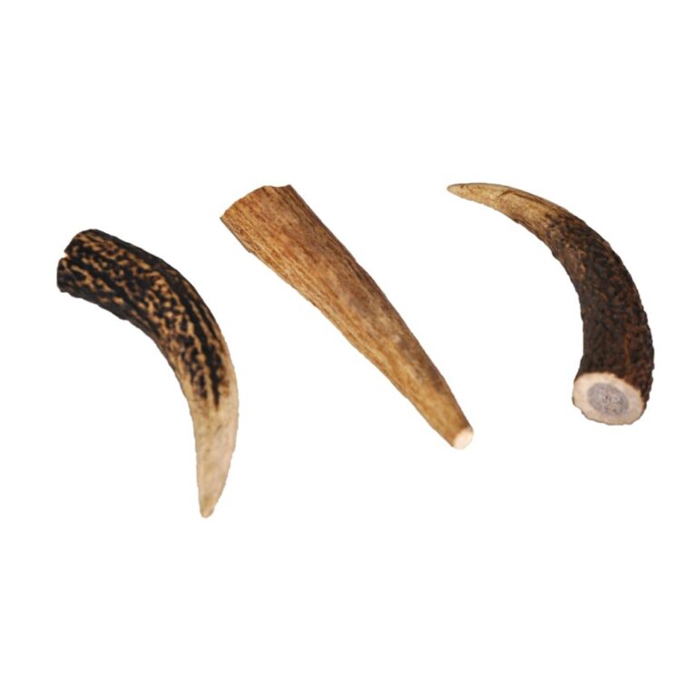 dbc948f6-29d8-11ef-82d9-00505697ce7a_5411468157024