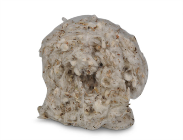 e15af17a-73fc-11ea-935b-00505697ce7a_5411468136142.3