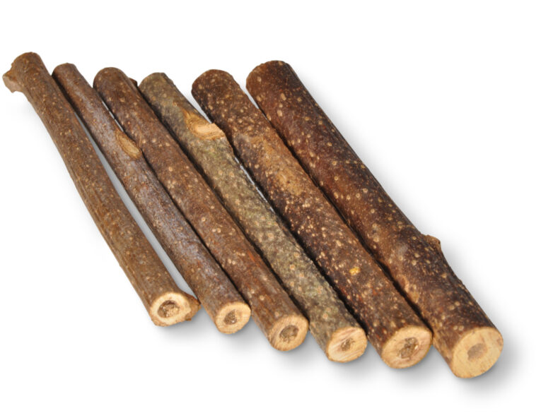 e292291e-73fc-11ea-b786-00505697ce7a_5411468136128.2