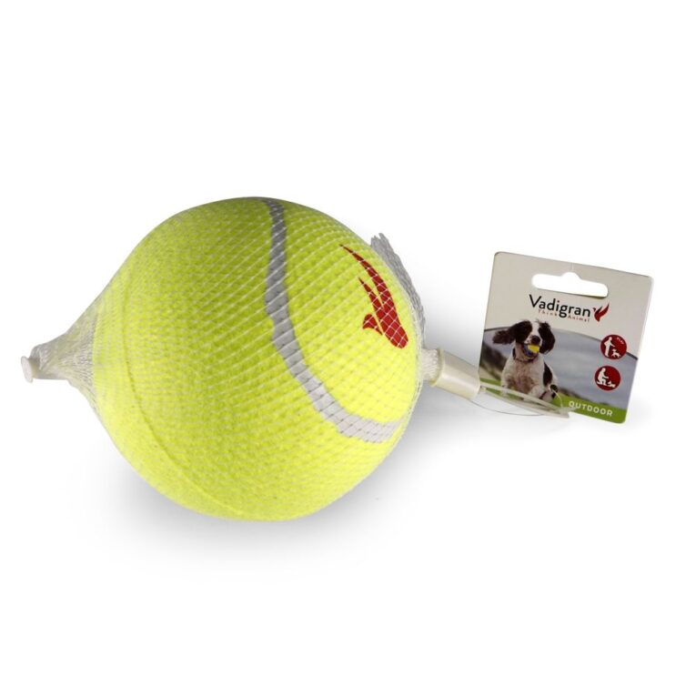 e9300444-7366-11ea-a3cc-00505697ce7a_5411468144338.VPK1