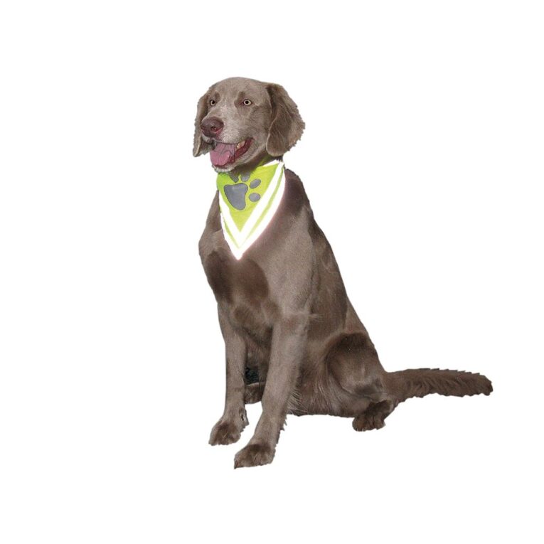 ebec13e2-89e8-11ea-9018-00505697ce7a_5411468144390.SFR1