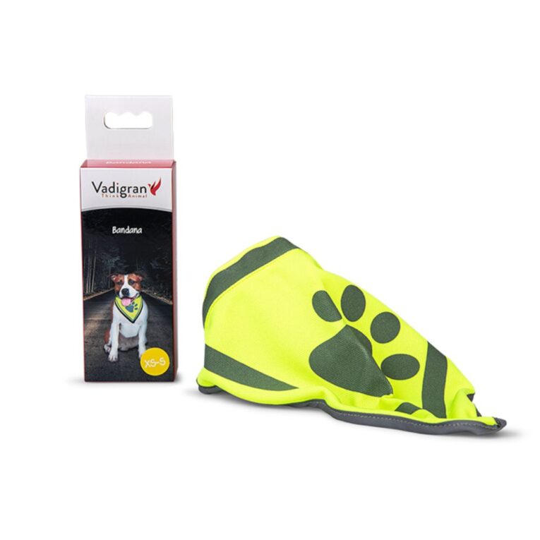 ec13ade4-89e8-11ea-b353-00505697ce7a_5411468144383