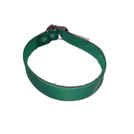 Lovepet Δερμάτινο Κολάρο Πράσινο 2X43Cm