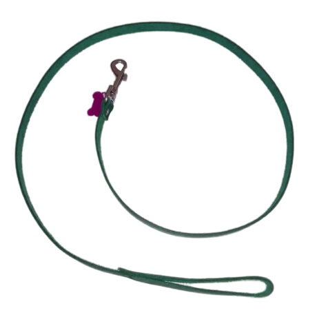 Lovepet Οδηγός Απλός Δερμάτινος Πράσινος 1.6X120Cm
