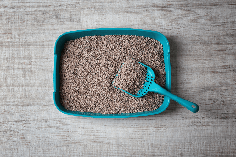 Media 11607E6Ccf272B3F6F74F738D92784106Ea05De64