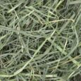 Χόρτο Oxbow Orchard Grass Hay 425Gr (4)