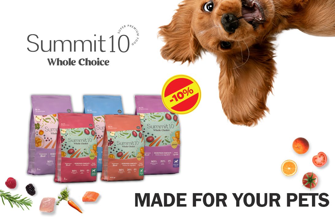 0 02 05 1Eb338290E48220Cb92D6026Efd031Ef53Ab26111B9116059A65D0Bf63Fdd979 9B625940335Bd206