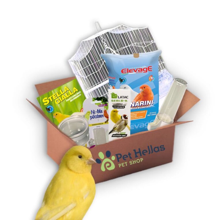 0-02-05-30364d42fb97955f7b22d31409aea8fede68e56df1fc571493bd040536952beb_94e41b88b6385020