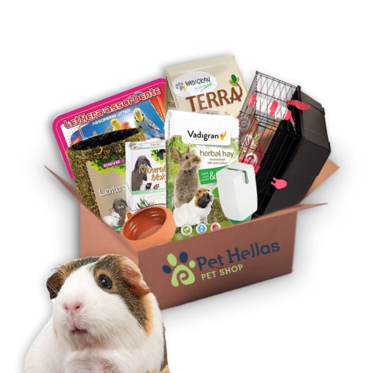 0-02-05-33b0f8cef08e5c8b015c58ad5bc0433294394c6ab3fa32b7de581631642aa158_c215ca883b74da61