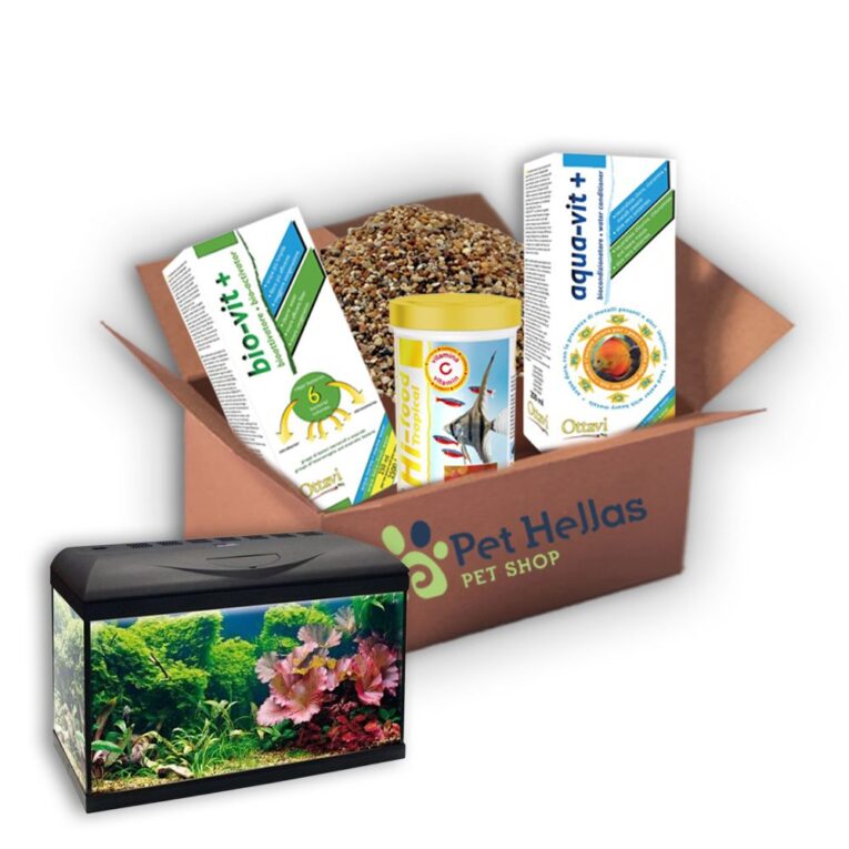 0-02-05-67a3f990bba91f6b8f1199db481acf4a662f5ca750a4122c5ef6af6d69b0a2c0_ff529ff3ace85d05