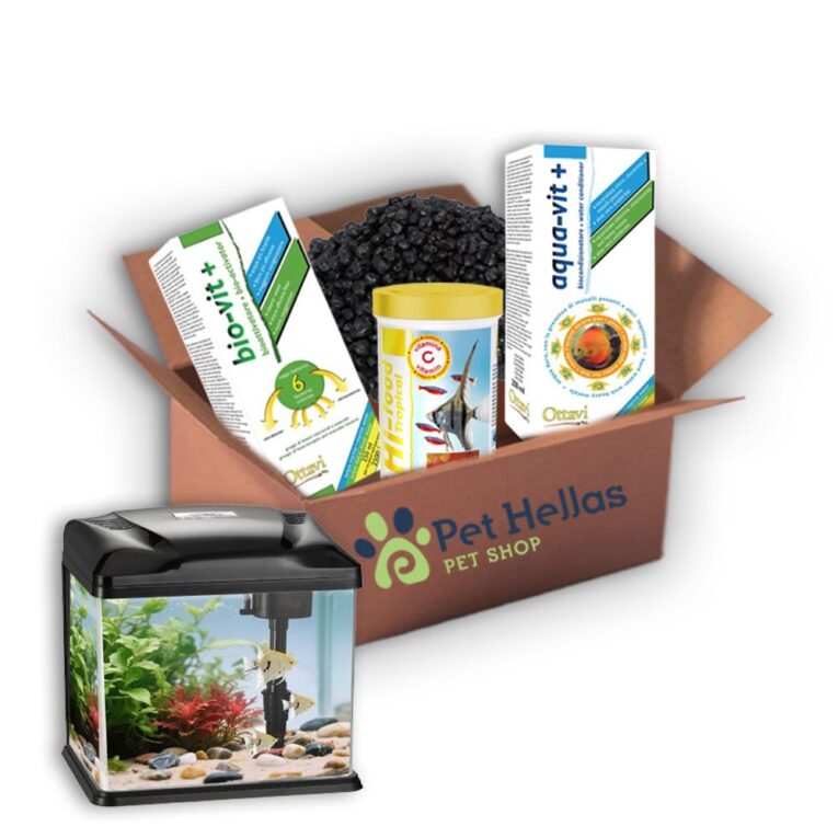 0-02-05-7daa0d76ca0597a26bfa136ad636181372bf9ccabe1522252b76d6c9ff0a4146_8d90eb44b988b32c