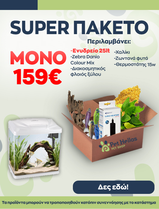 0-02-05-8Af4A70205Ac4Ad58A7018F948085903Aa63E78Cded0F181Ec543Edbb7076A43_5F62A2Cec33A417A