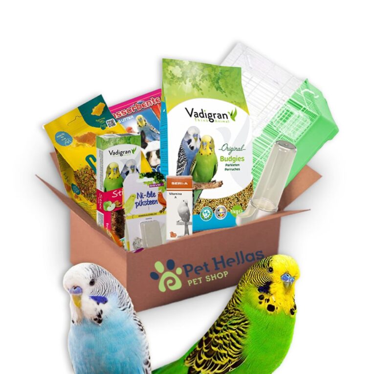 0-02-05-919a5f4835f6deabe0ab1dadbc26f9d0382ca78c3319f9e4195dd196799813f1_4cd76ab2040be3bb