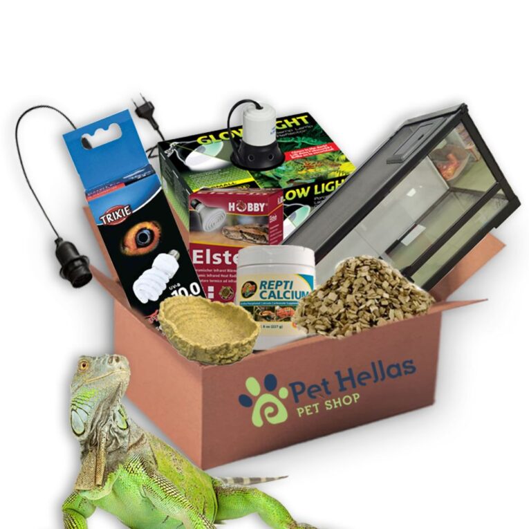 0-02-05-9404cba5cfcfb4d4784a0056575fe8aa3d4232513dd176b2ae1c5d995be7f9f1_d97e491d97579aae