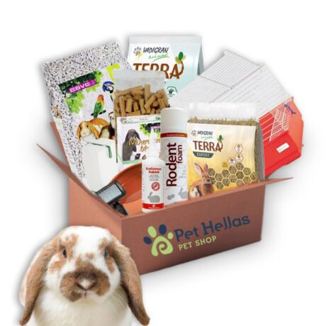 Super Πακέτο #10 Κουνελάκι Lop Ear