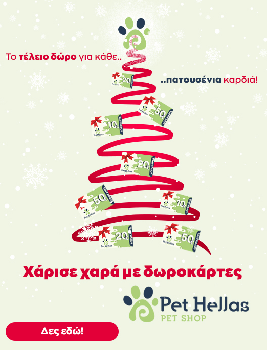 0-02-05-B3Bd6D7De4E3Ac670E76Dceb793Ca8A9B51B70B9D0Af44798E922Aab6D8B3B1C_1681F8238696B2A8