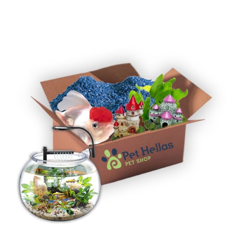 0-02-05-ca2ea2db4c5f49a803e9f0584cb92f9bff7f4bfe5ae94a2bb95b121ad952ec8b_a5f02e4ce16ac2d1