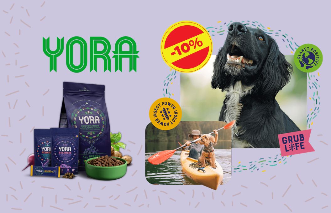 0 02 05 Da0Df8C90A3769E86935635D08F72F744Dd4718A3974963D3A7073E47A0F14B1 754960504D889Acd