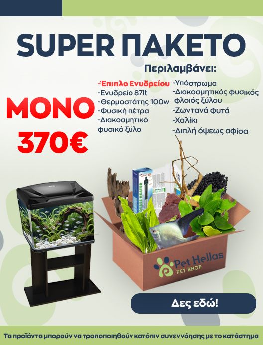 0-02-05-Ed9F5E583E85Fb8Ea3Ad601C8Fd9675A7504A43D80227178D81Cd324A14723Bf_805A85782E2Da9E8