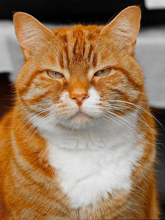 3287B7A1D83414589Ea1B4C766736B9F