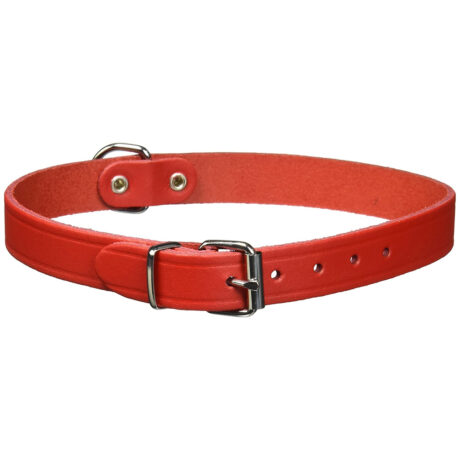 Trixie Basic Περιλαίμιο Σκύλου Medium Κόκκινο 37–43cm/18mm