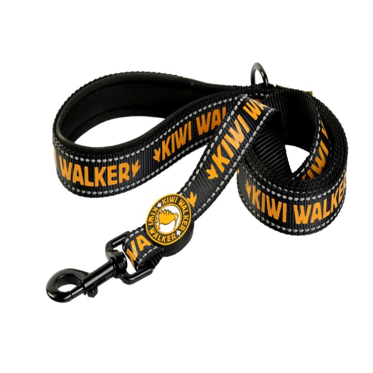 46034-46035-46036-leash_orange (1)