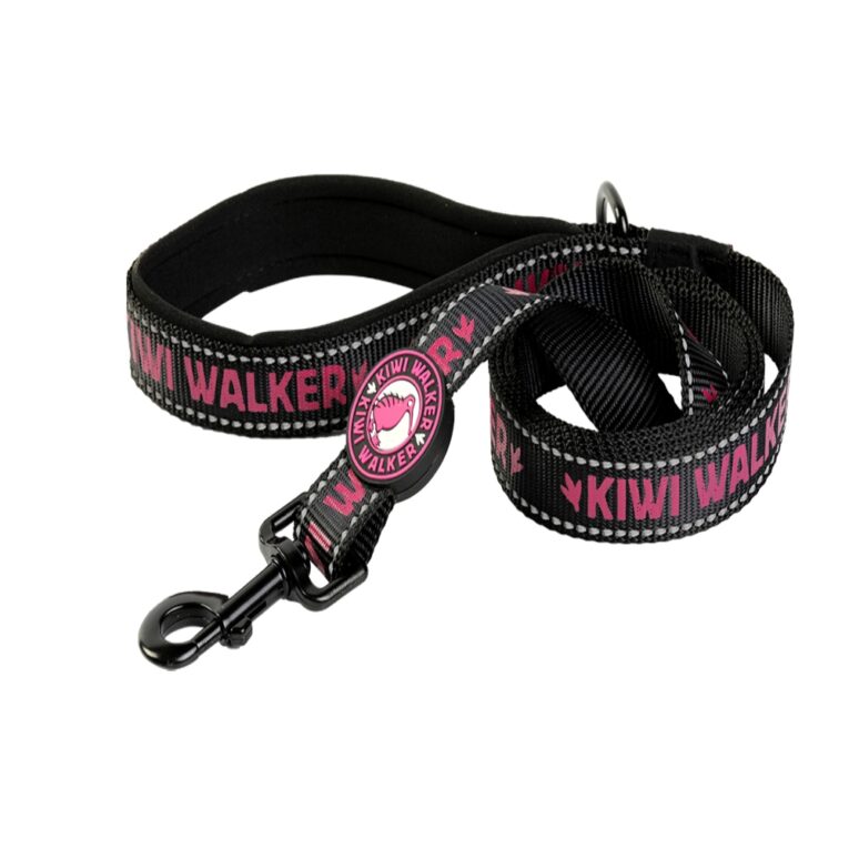 46040-46041-46042-leash_pink (1)