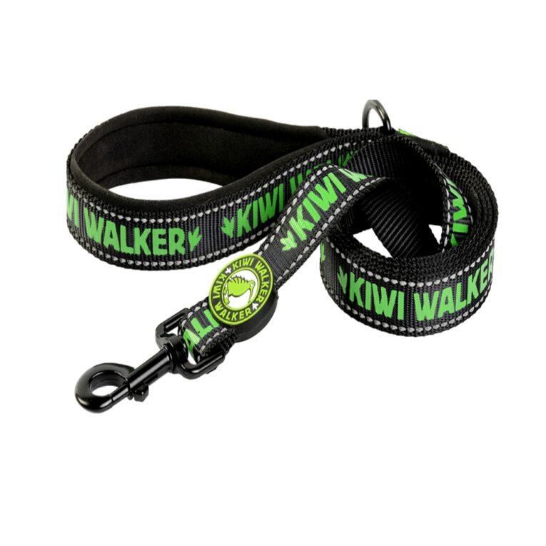 46046-46047-46048-leash_green (1)