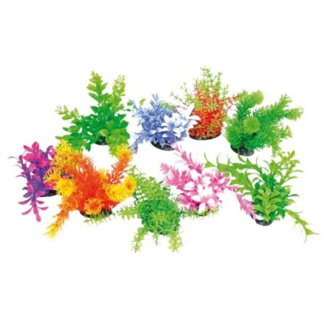 Amtra Φυτό Tropical 14-17cm