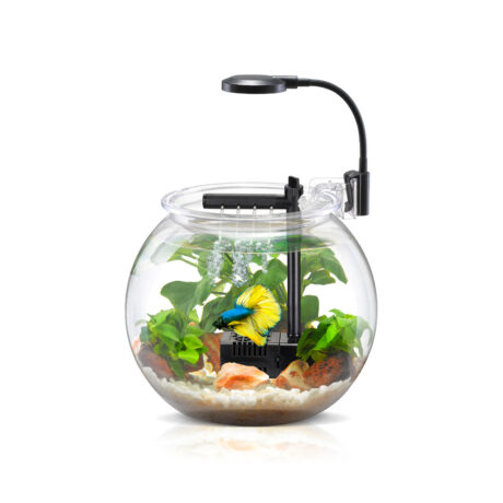 Γυάλα με Κυκλοφορητή & LED 4lt 21x17.5cm