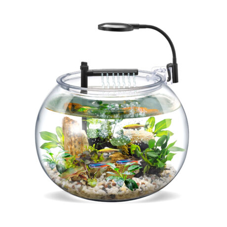 Γυάλα με Κυκλοφορητή & LED 12lt 30x22cm