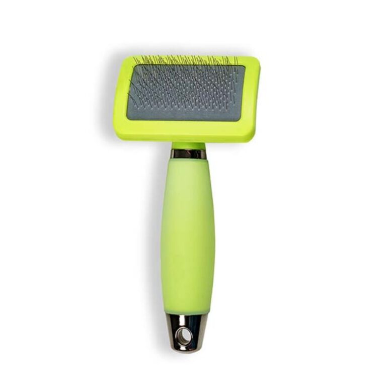 PETHELLAS_GLEE ΒΟΥΡΤΣΑ SLICKER Small ΠΡΑΣΣΙΝΗ(Lime)