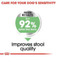 Pet Hellas_Ξηρα Τροφη Royal Canin Mini Digistive Care 400Gr_4 (1)