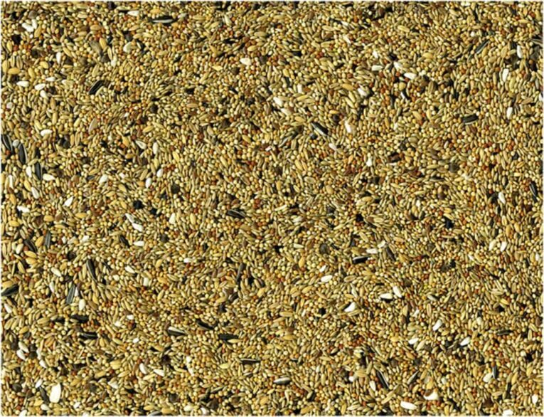 ac9b8c9e-7404-11ea-b636-00505697ce7a_5411468234480.DET1-min