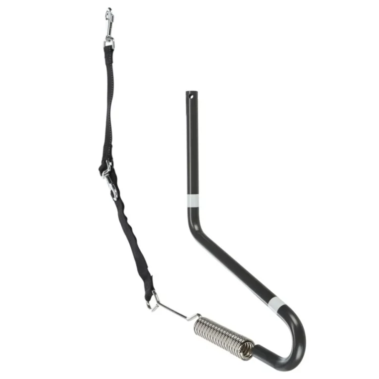 biker-set-grand-chien