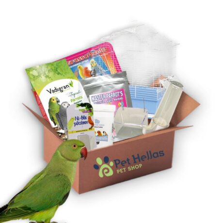 Super Πακέτο #17 Ring Neck Παπαγάλος