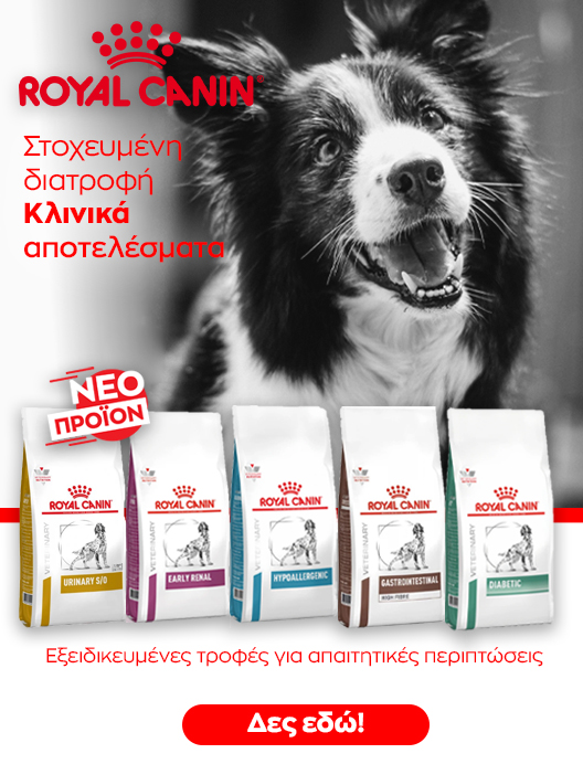 0-02-05-2B228646B6Cd895Cbc979A3B54C1D30D3Ab0B17638733B2302E1B7B48Dea0595_Ae739D84530Ac0Ca